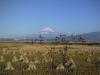 富士山１３