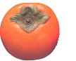 富有柿